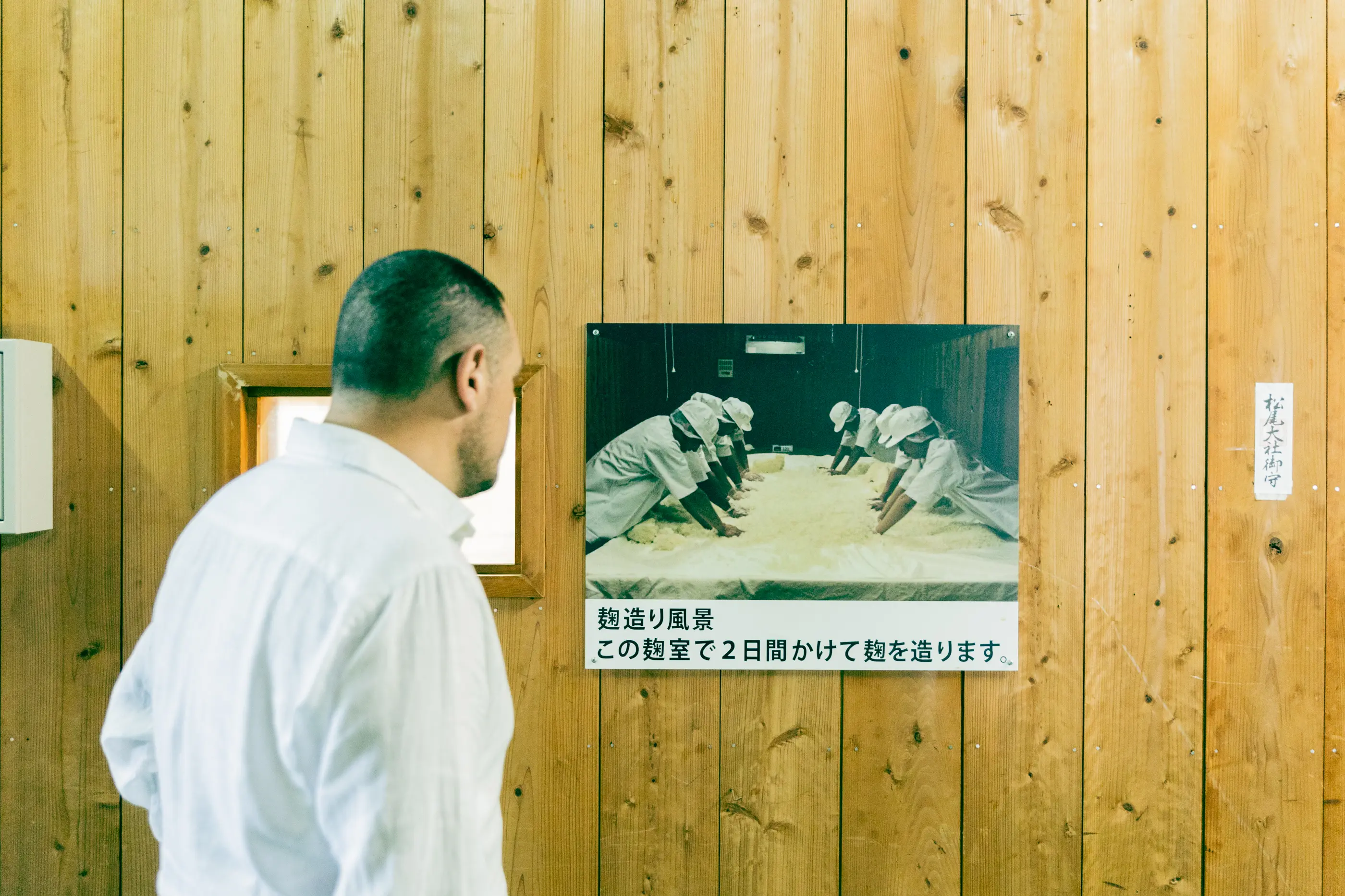 曲霉菌製作場景