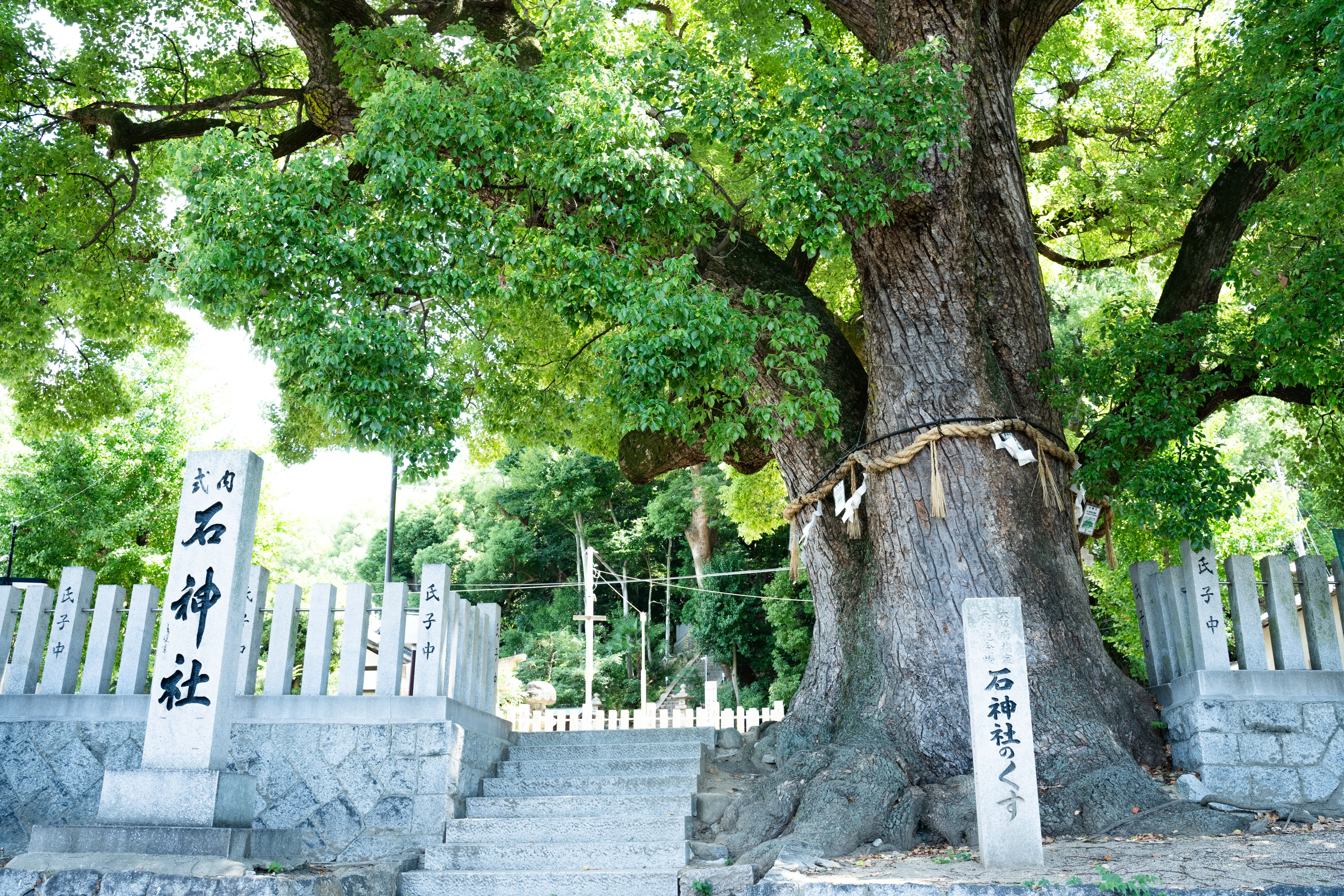 山腳下的岩神社參道入口