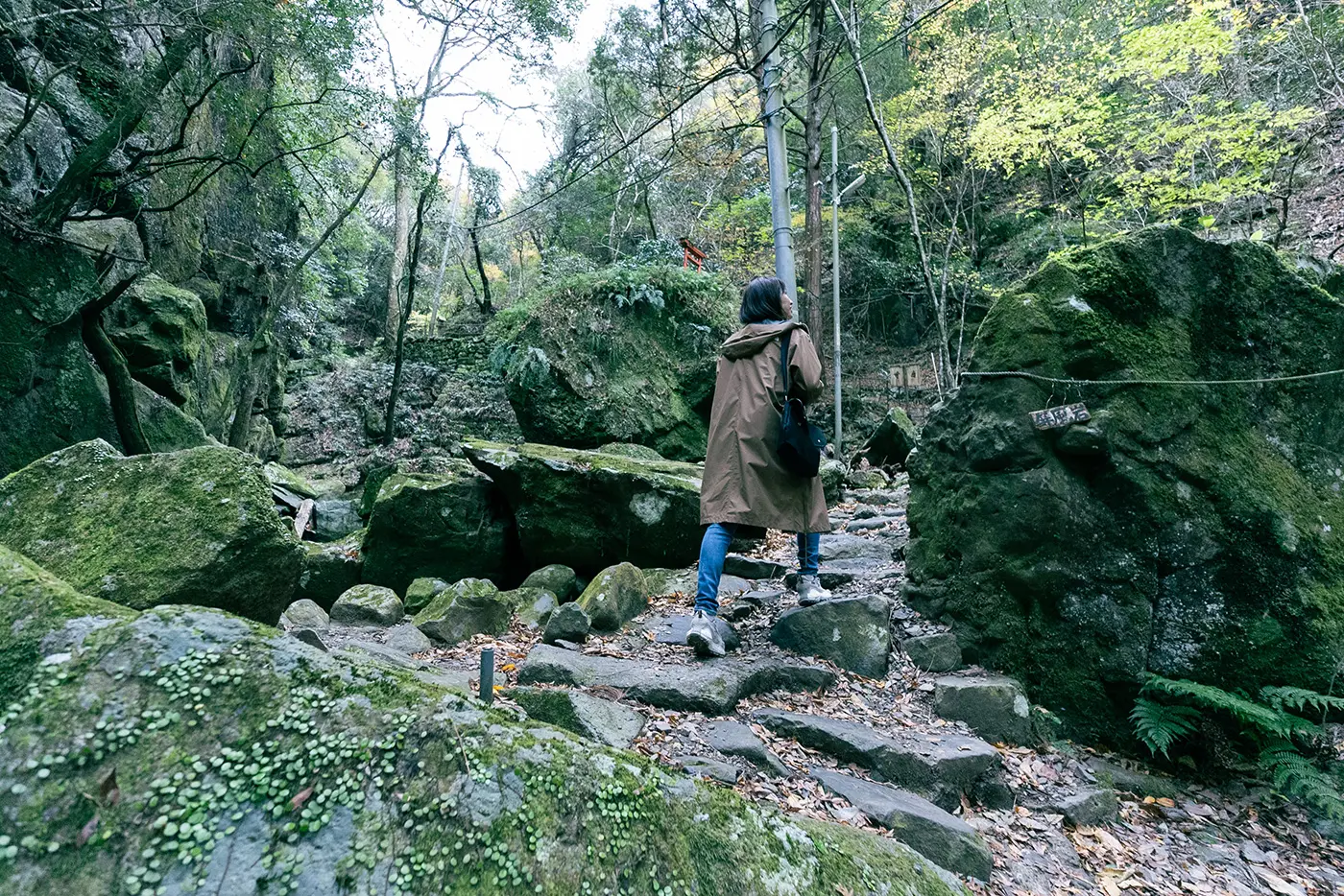 犬鳴山を登る人