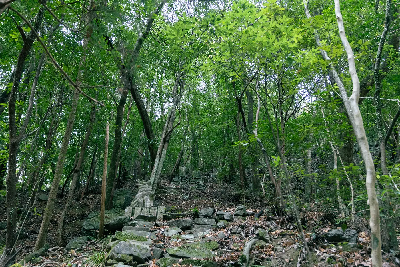 犬鳴山の由来の墓石