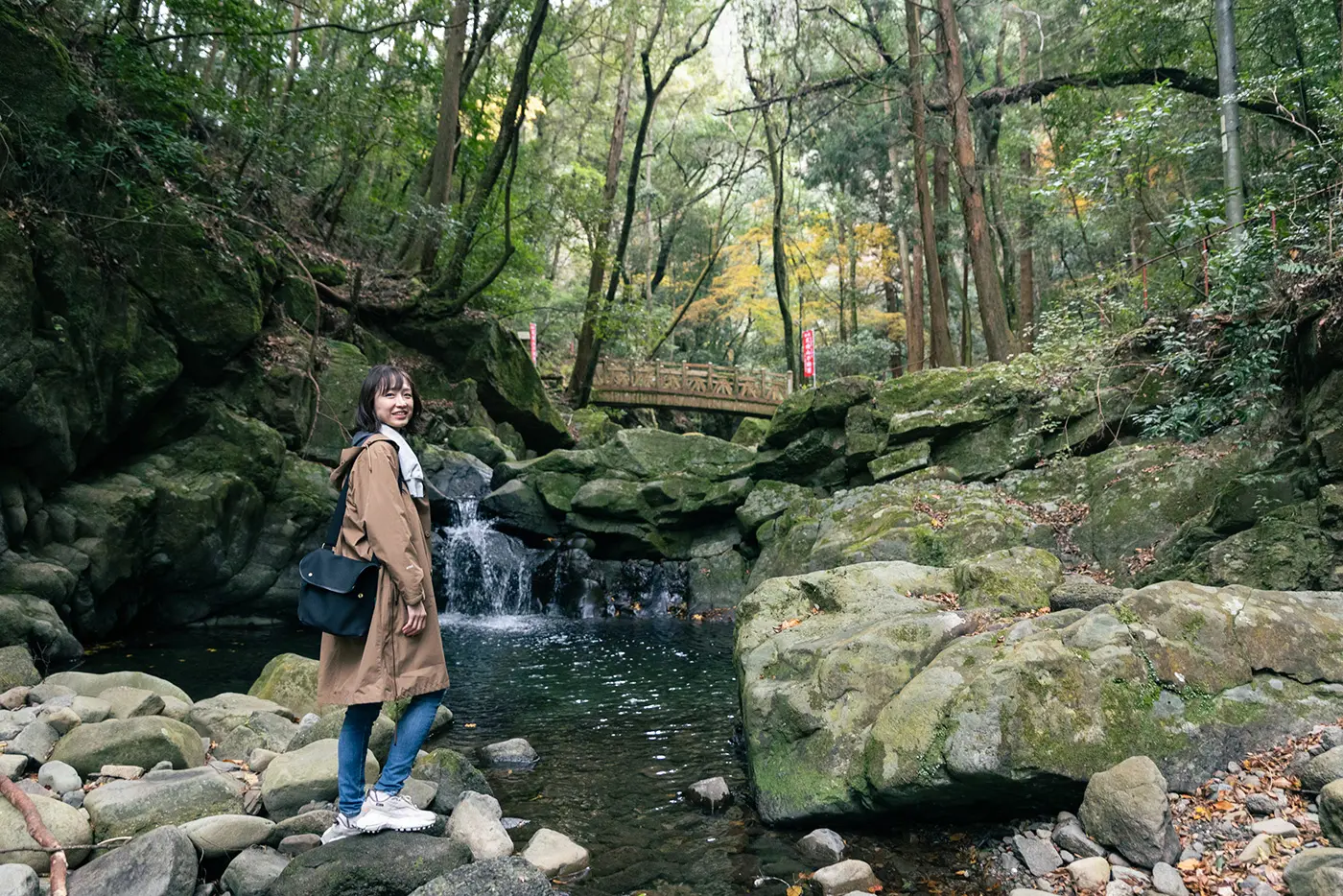 犬鳴山を登る人