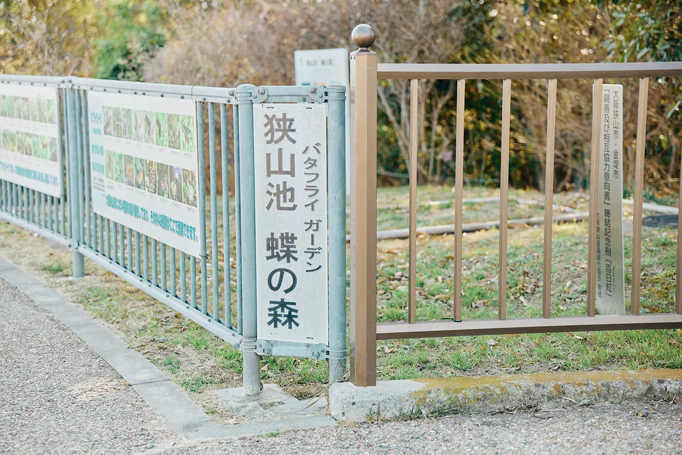 バタフライガーデン