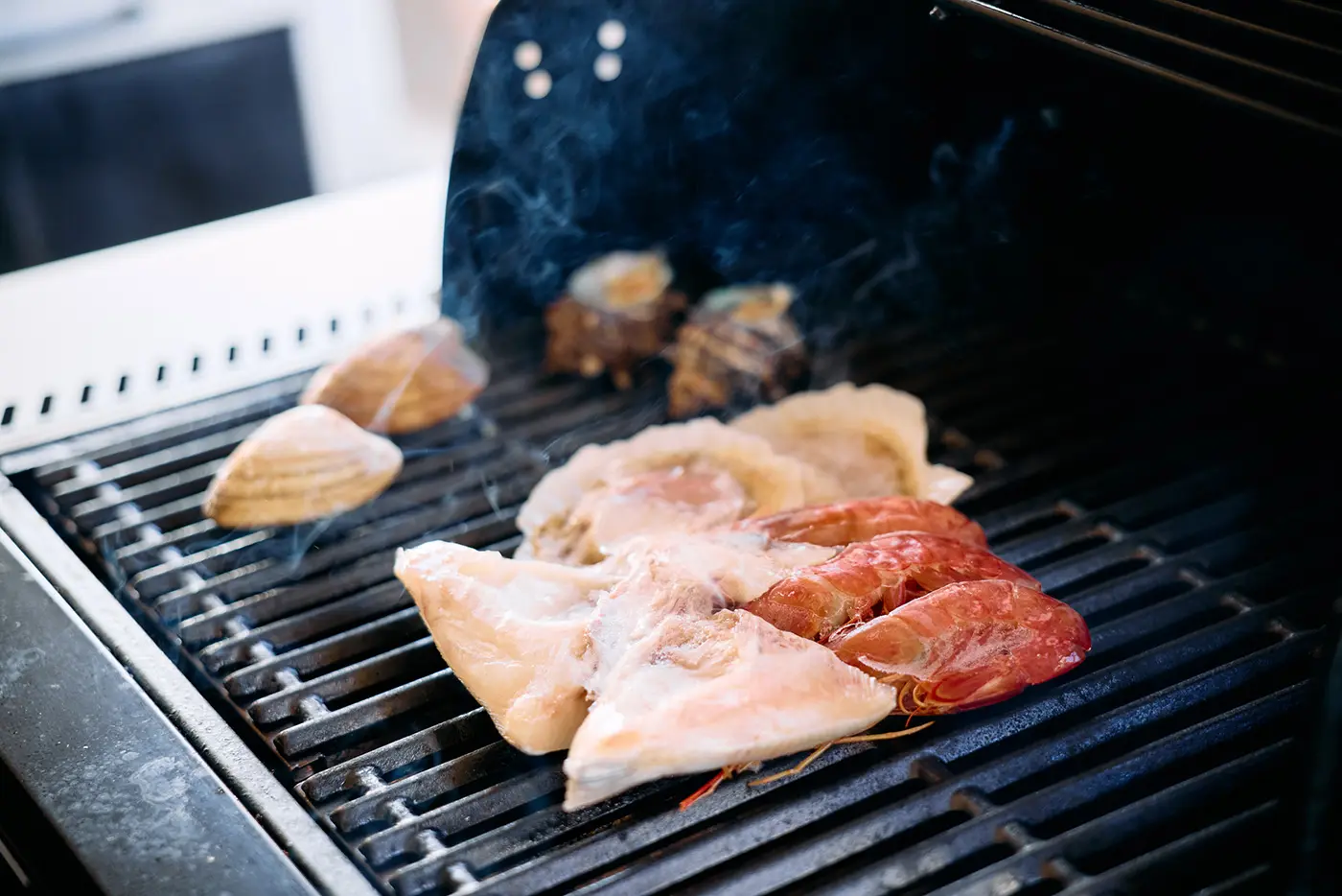 Seafood lined up on a net