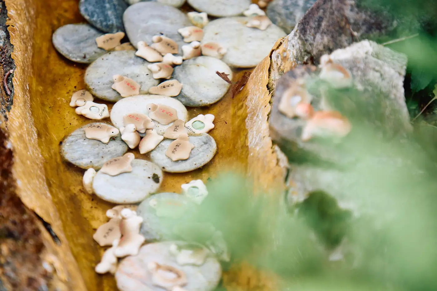 池に沈む陶器でできた亀