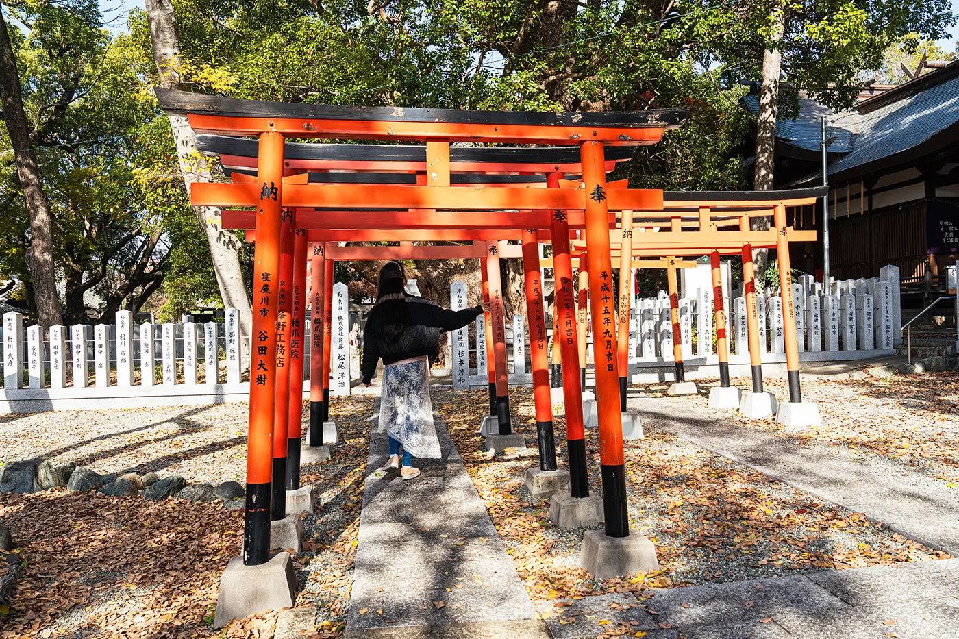 境内に連なる朱色の鳥居