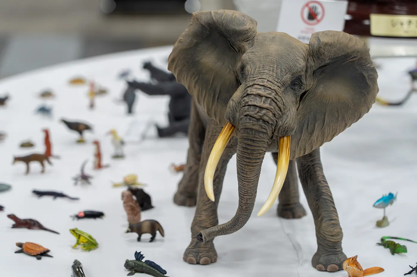 象のフィギュア