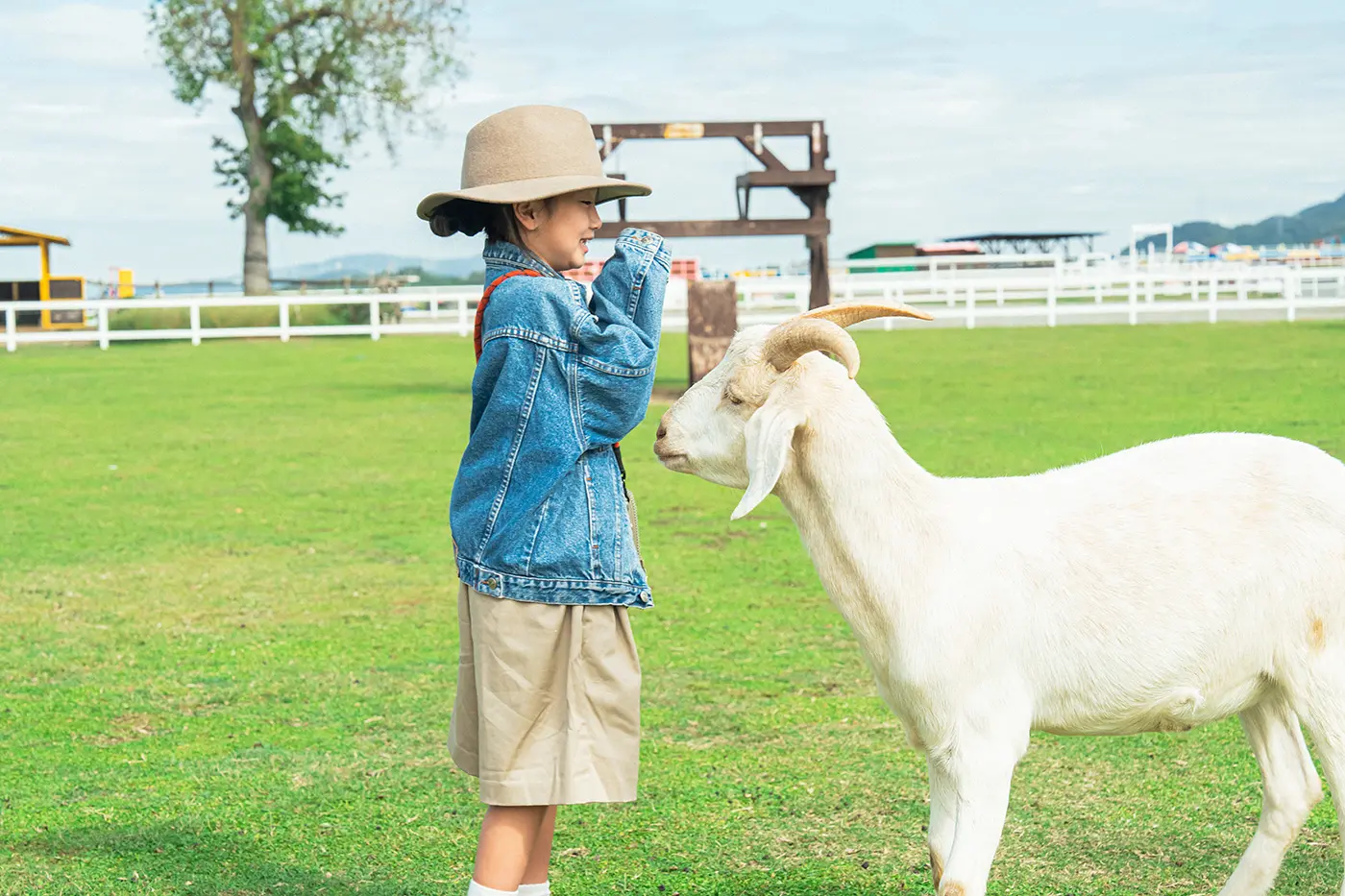 ICHINA interacting with goats