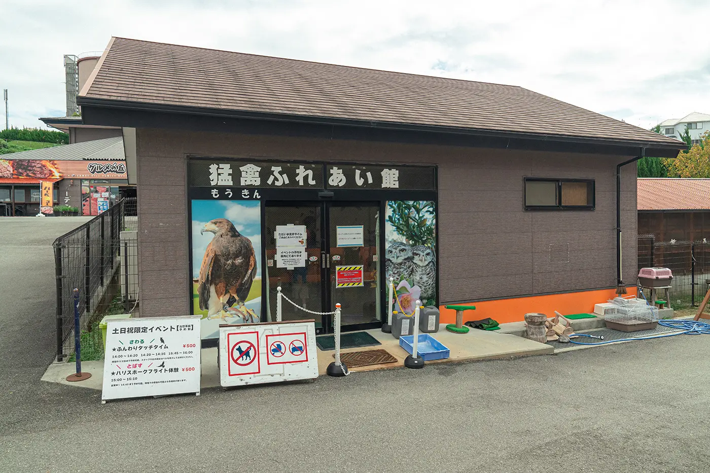 Raptor Interaction Center