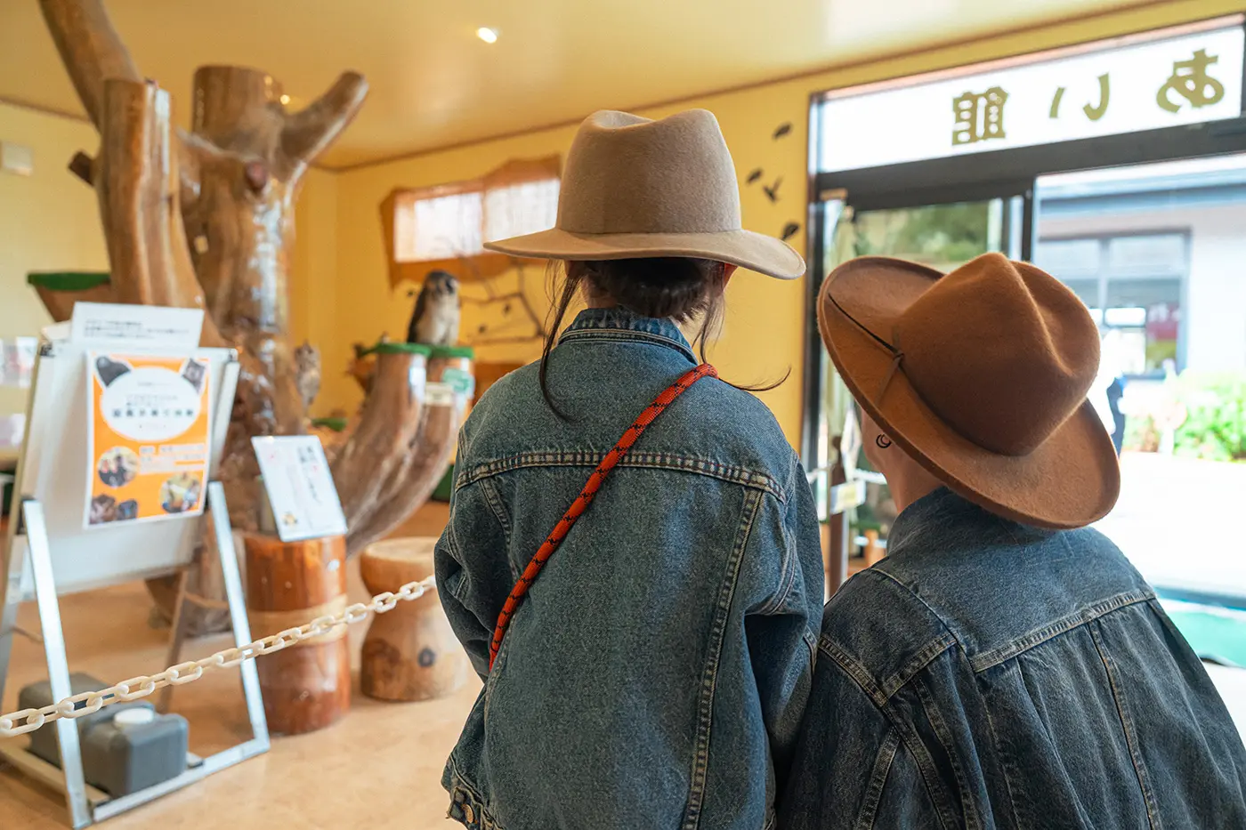 Parent and child watching an owl