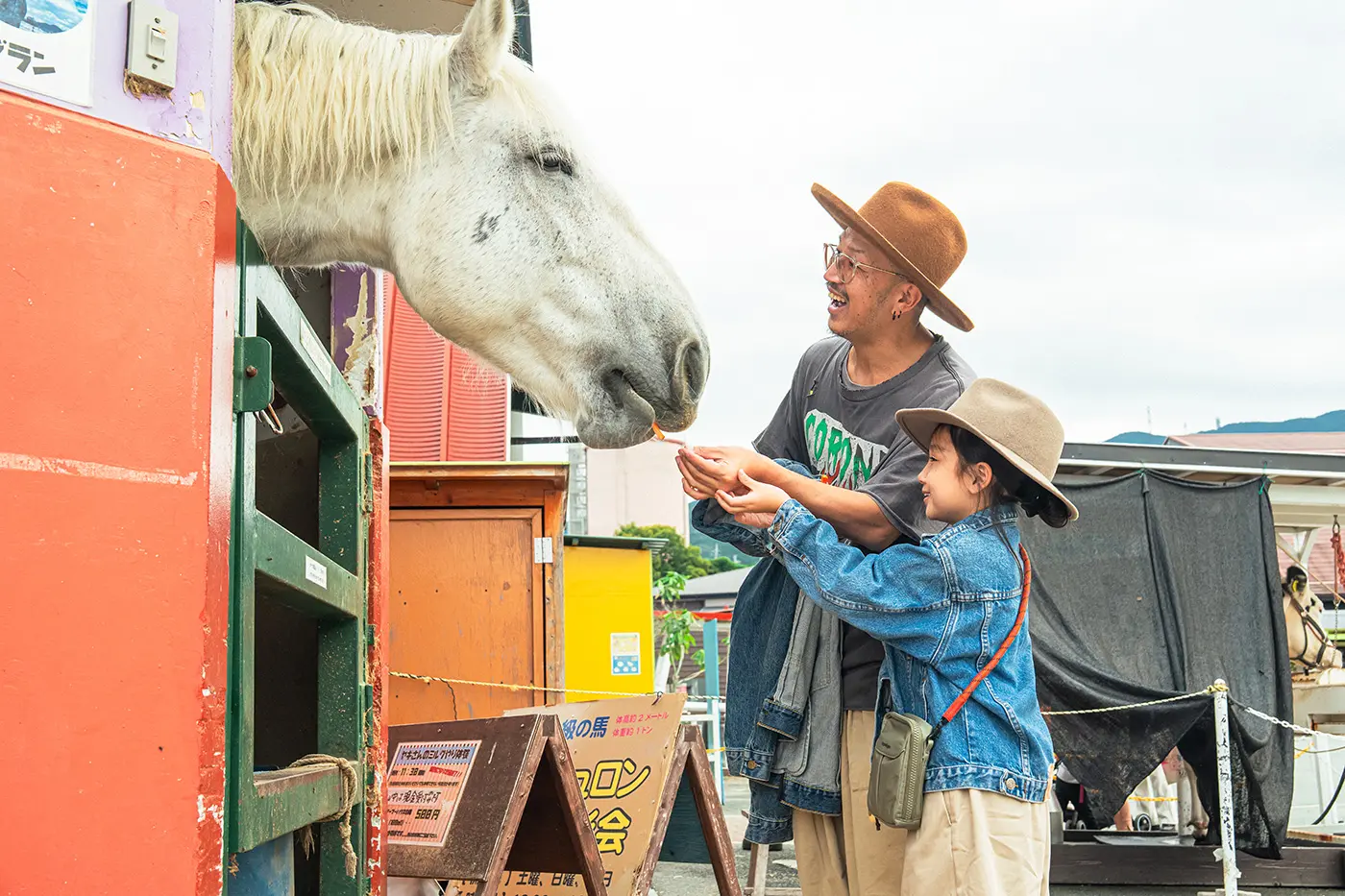 ICHINA feeding a carrot to a horse