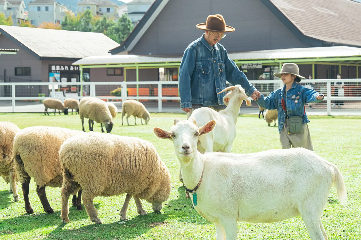 The interior of a Canadian log house