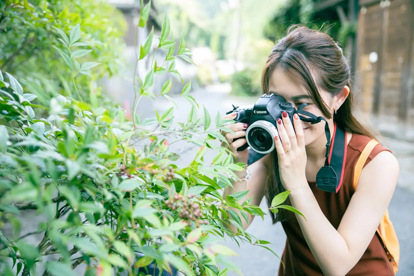 Photographing a roadside nandina