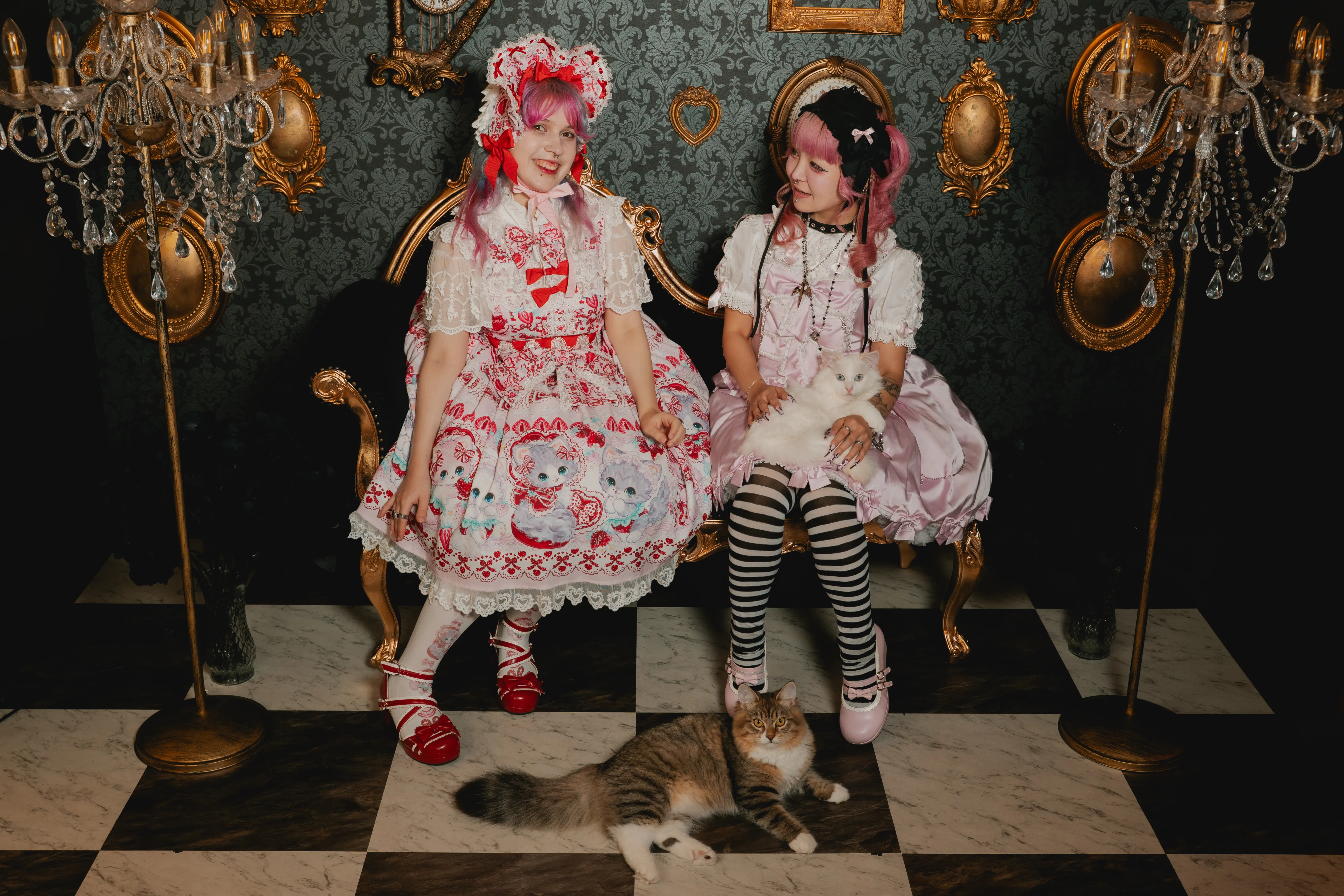 我们俩和我们的猫一起拍照！