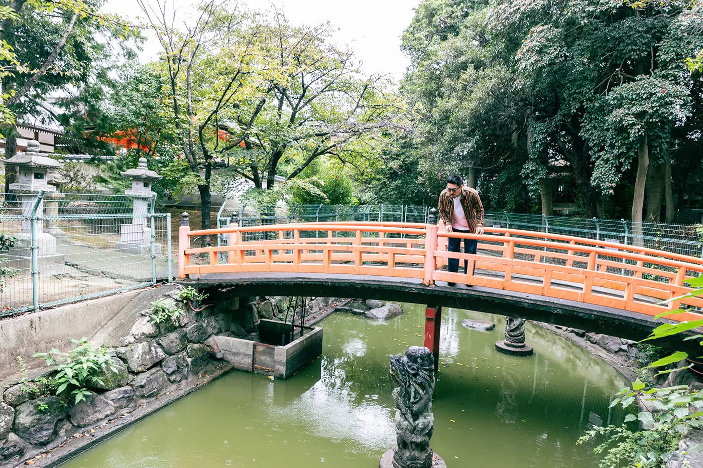 A guide peering into the pond from a sled bridge