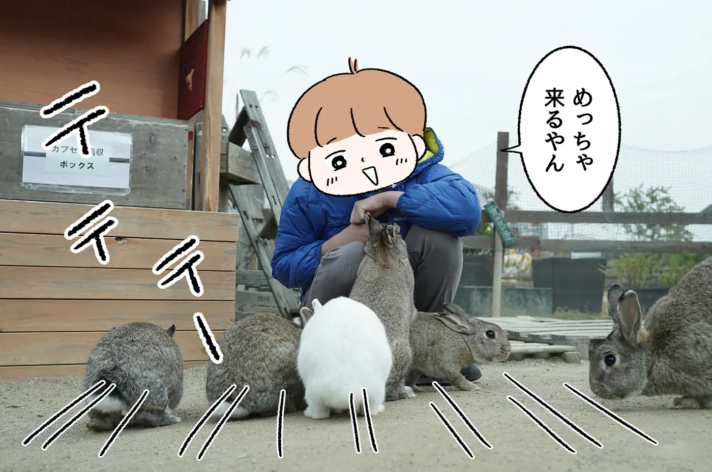 うさぎには1回100円で餌をあげることができます