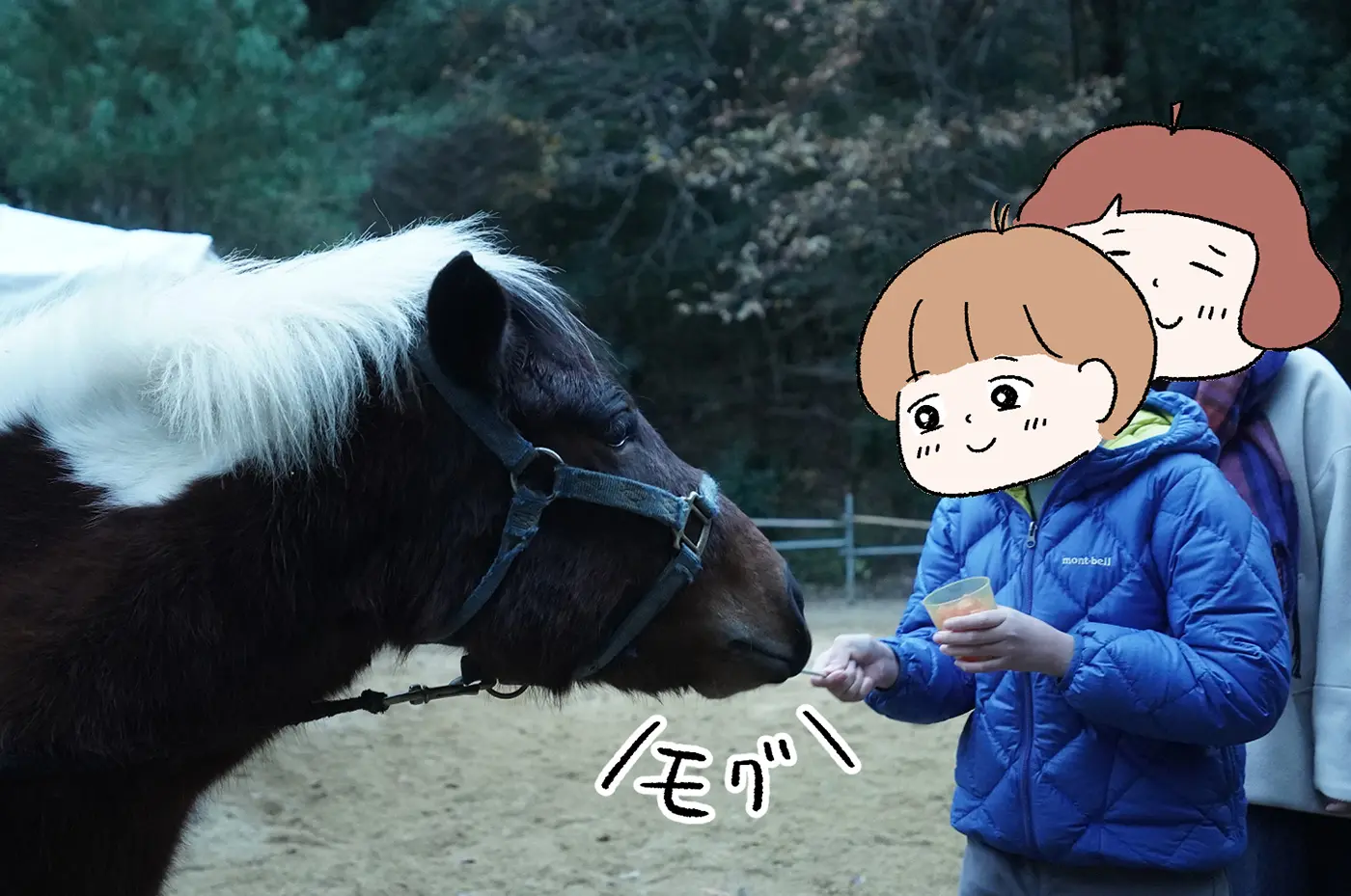 ソウ君も、自分でにんじんを切って、感謝の言葉と一緒に、つむぎちゃんに餌をあげました。