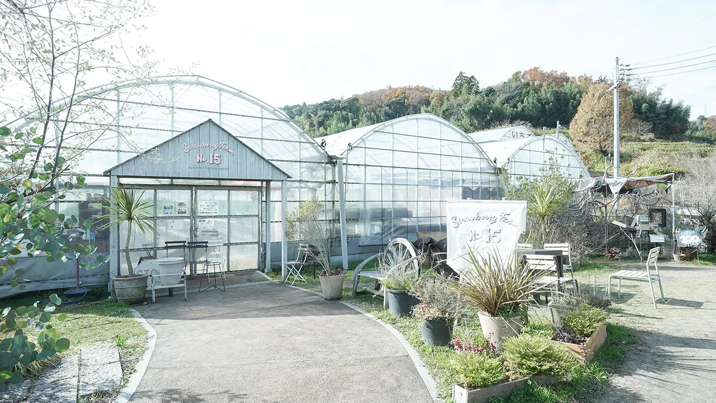 「the Farm UNIVERSAL」のいちご園は、一味違ったいちご狩りを楽しめます