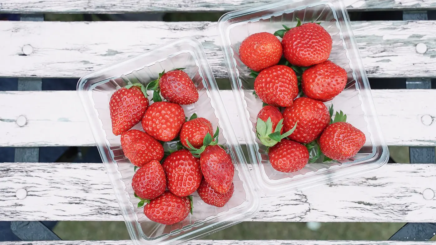 もぎとったいちごは量り売りで購入して持って帰ることができます