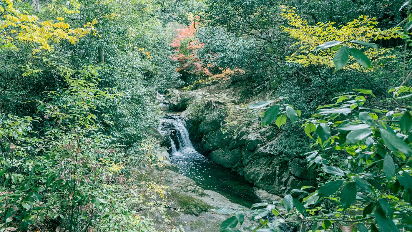 聖観世音出現の滝（降臨の滝）