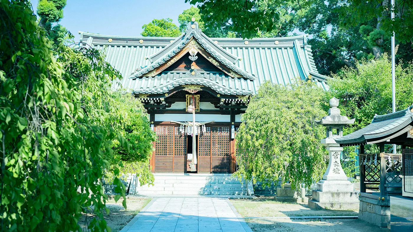 屯倉神社の梅の木