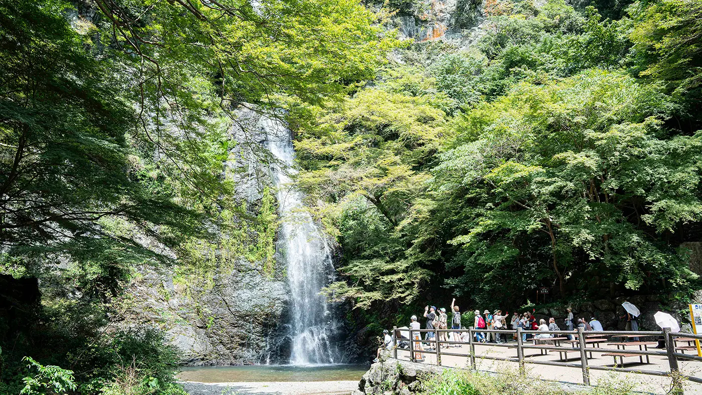 大阪で唯一「日本の滝百選」に選ばれた「箕面大滝」