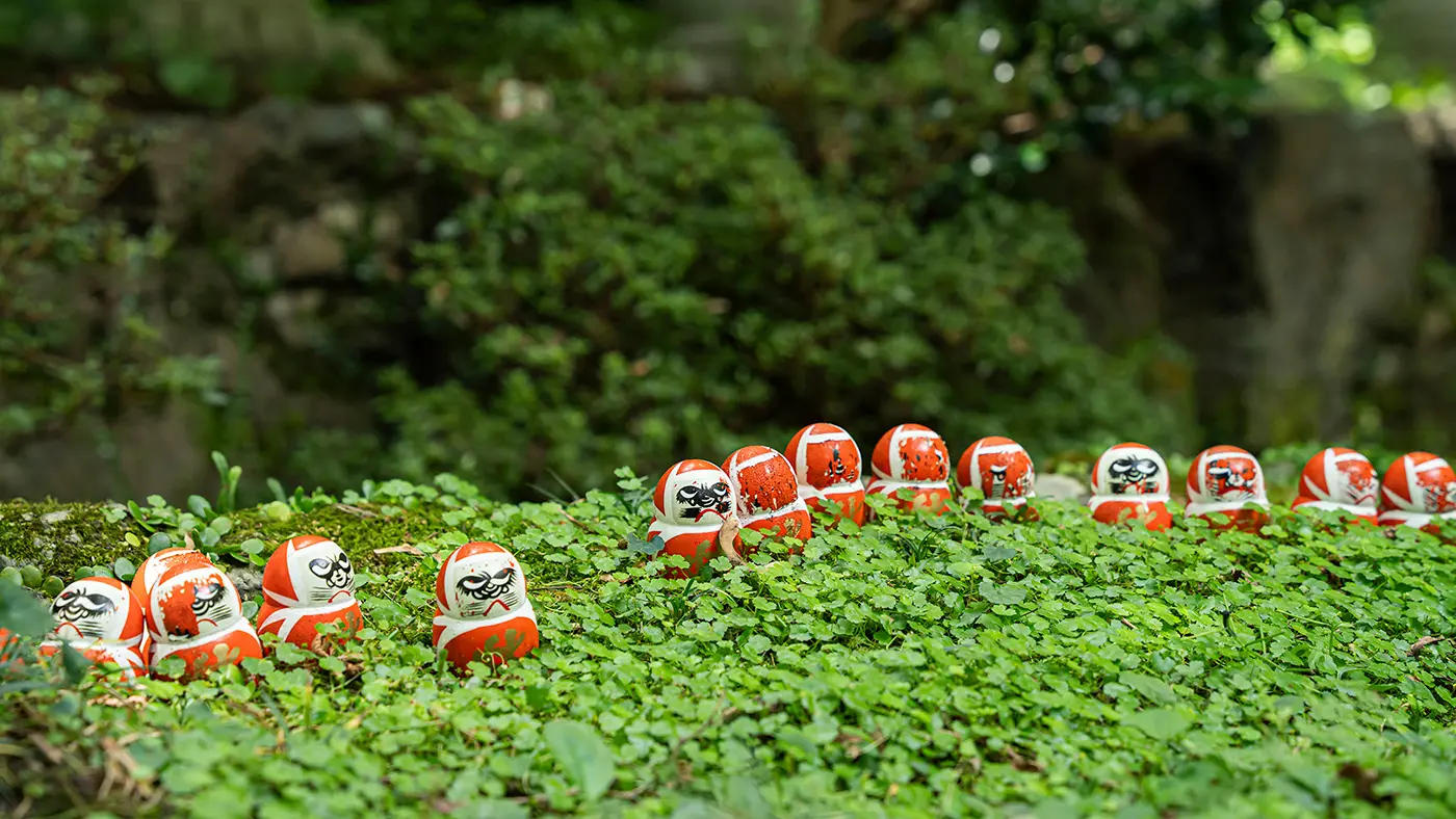 生き生きとした緑と朱色のダルマとのコントラストが美しい。