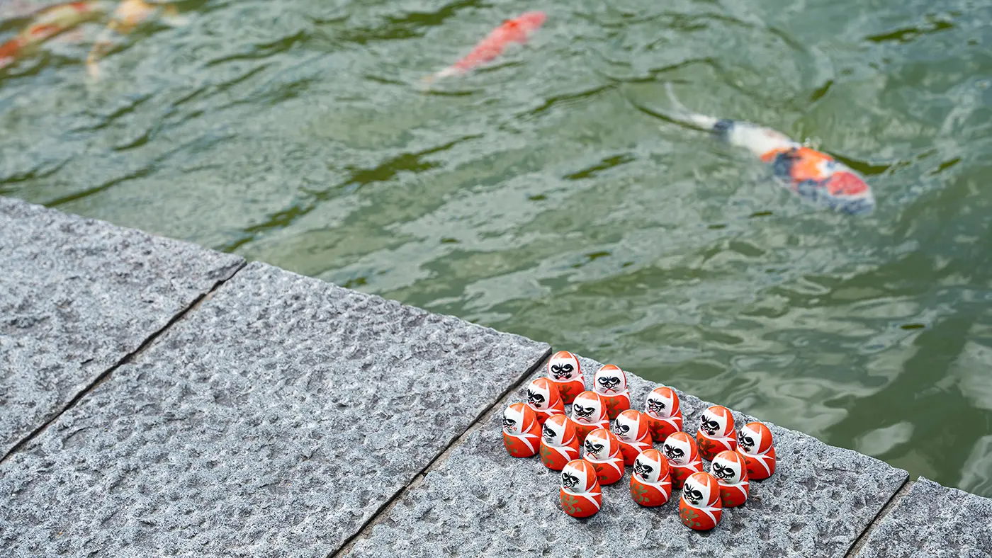 色鮮やかな錦鯉との相性も抜群。