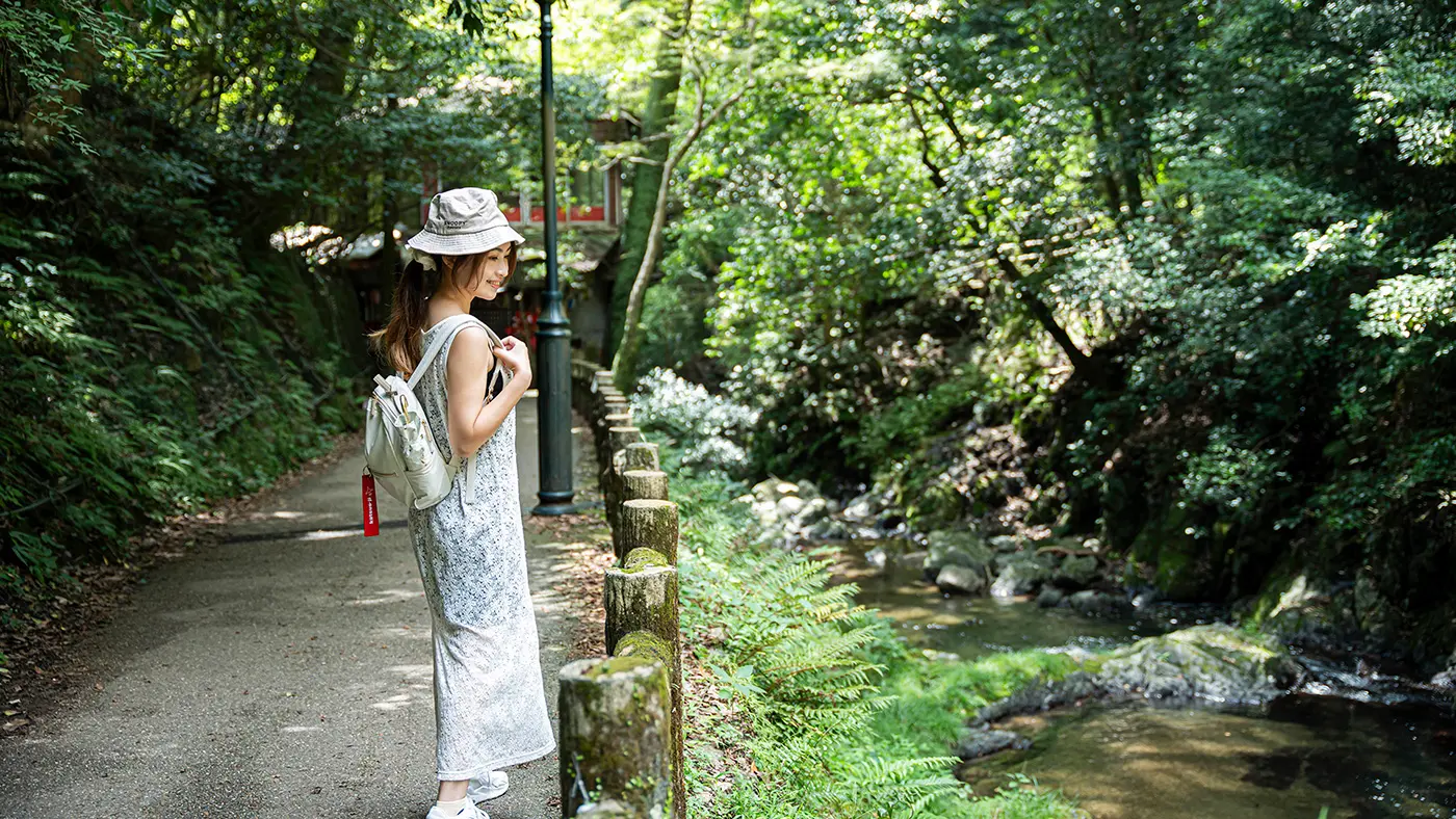歩道は木陰になっていて、登山というより散歩をするような感覚で快適に歩くことができます。