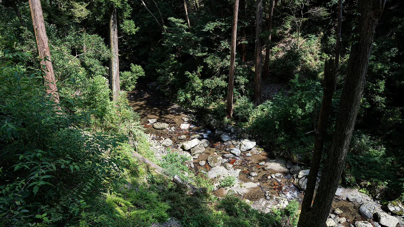 透き通るような水音を聞いていると、心がすっと浄化されていくよう。