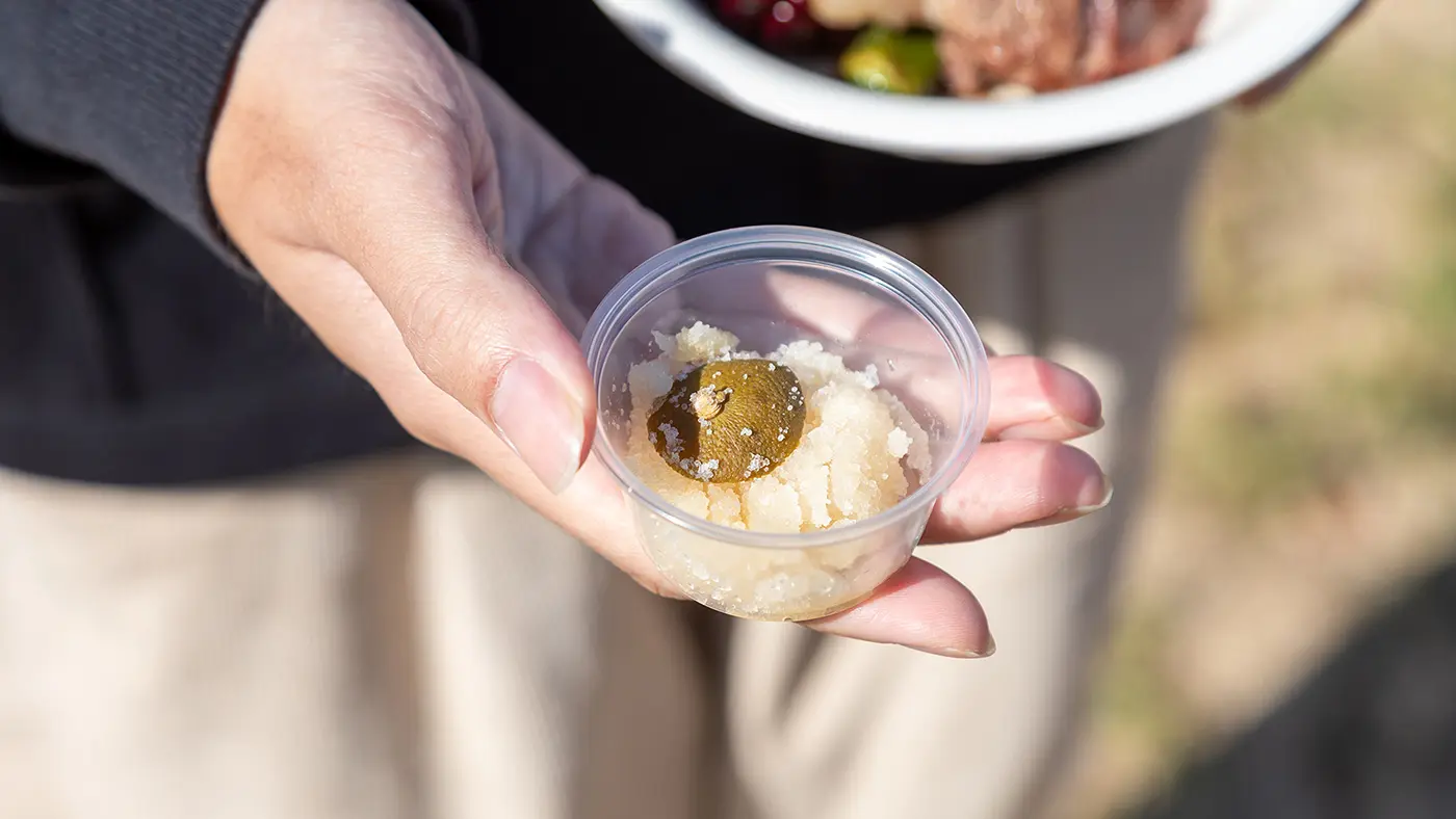 爽やかな香りと旨みが特徴の「発酵レモン塩」