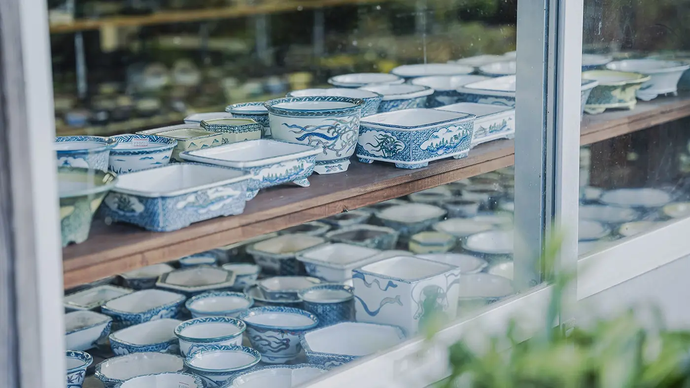 盆栽専用の鉢植え