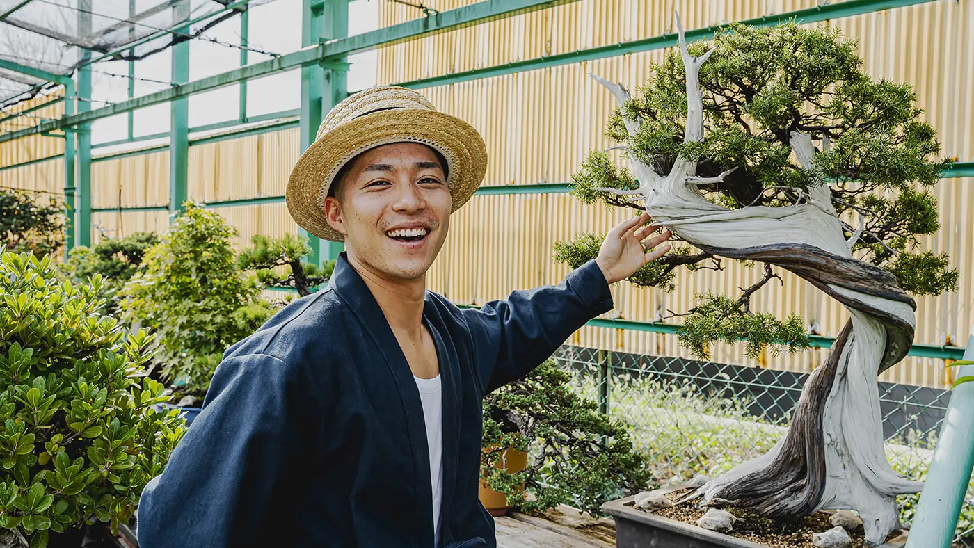 杜松（トショウ）の盆栽を選んだ伊藤さん