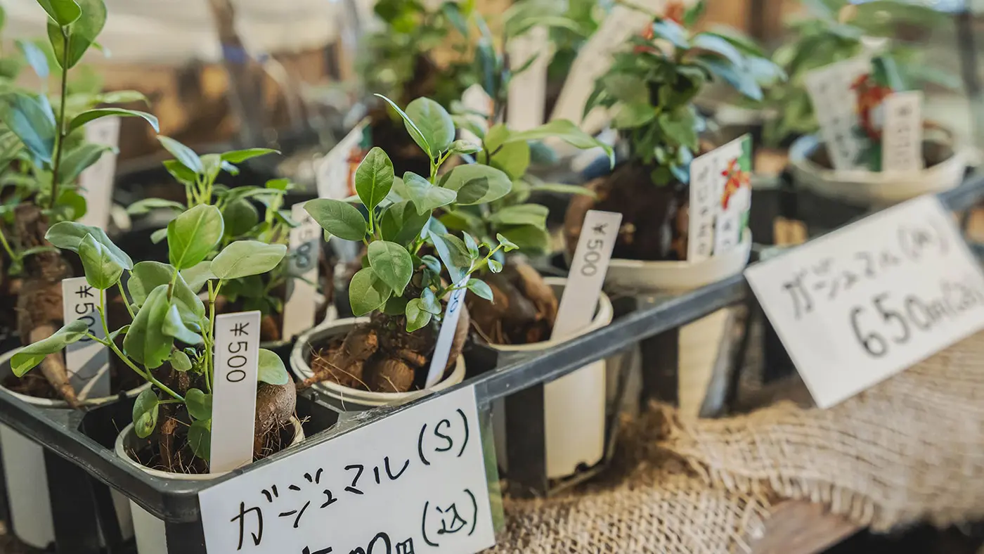 併設するカフェ「KIBE KITCHEN」