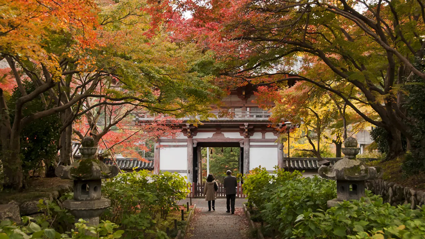 紅葉が美しい秋の境内。