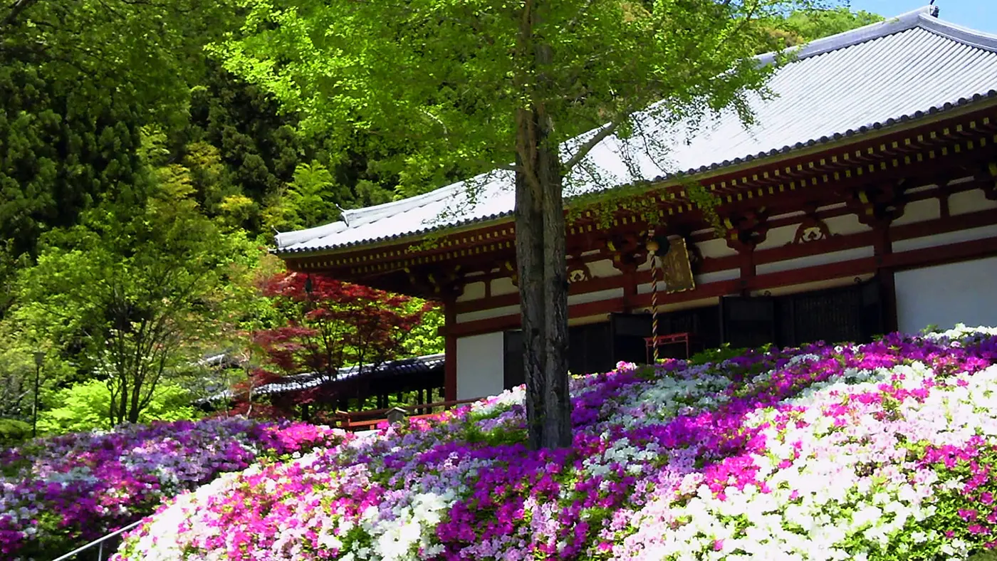 春にはツツジの花が咲き誇ります。