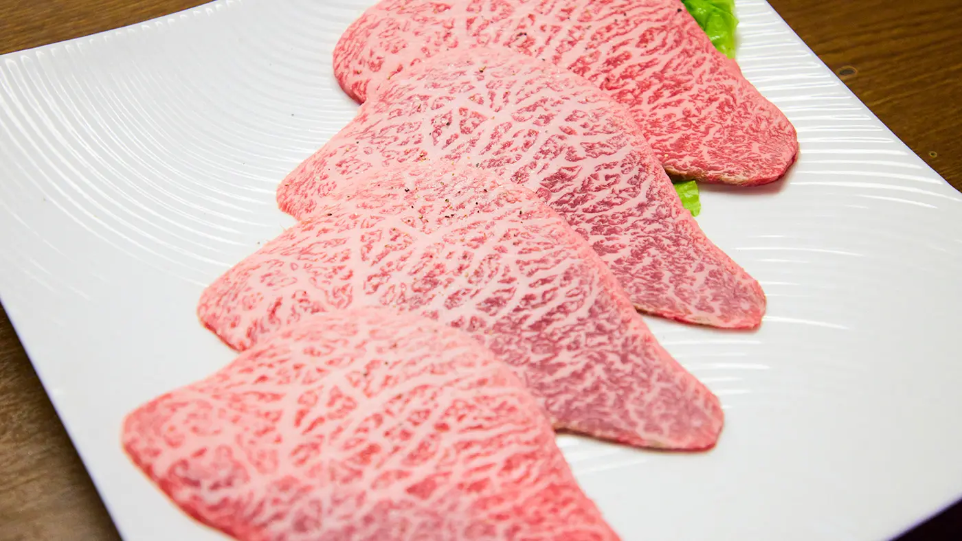 わたしのフェイバリット部位マルシン。