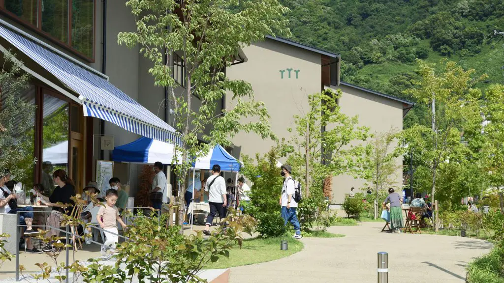 morinekiプロジェクトを進行中