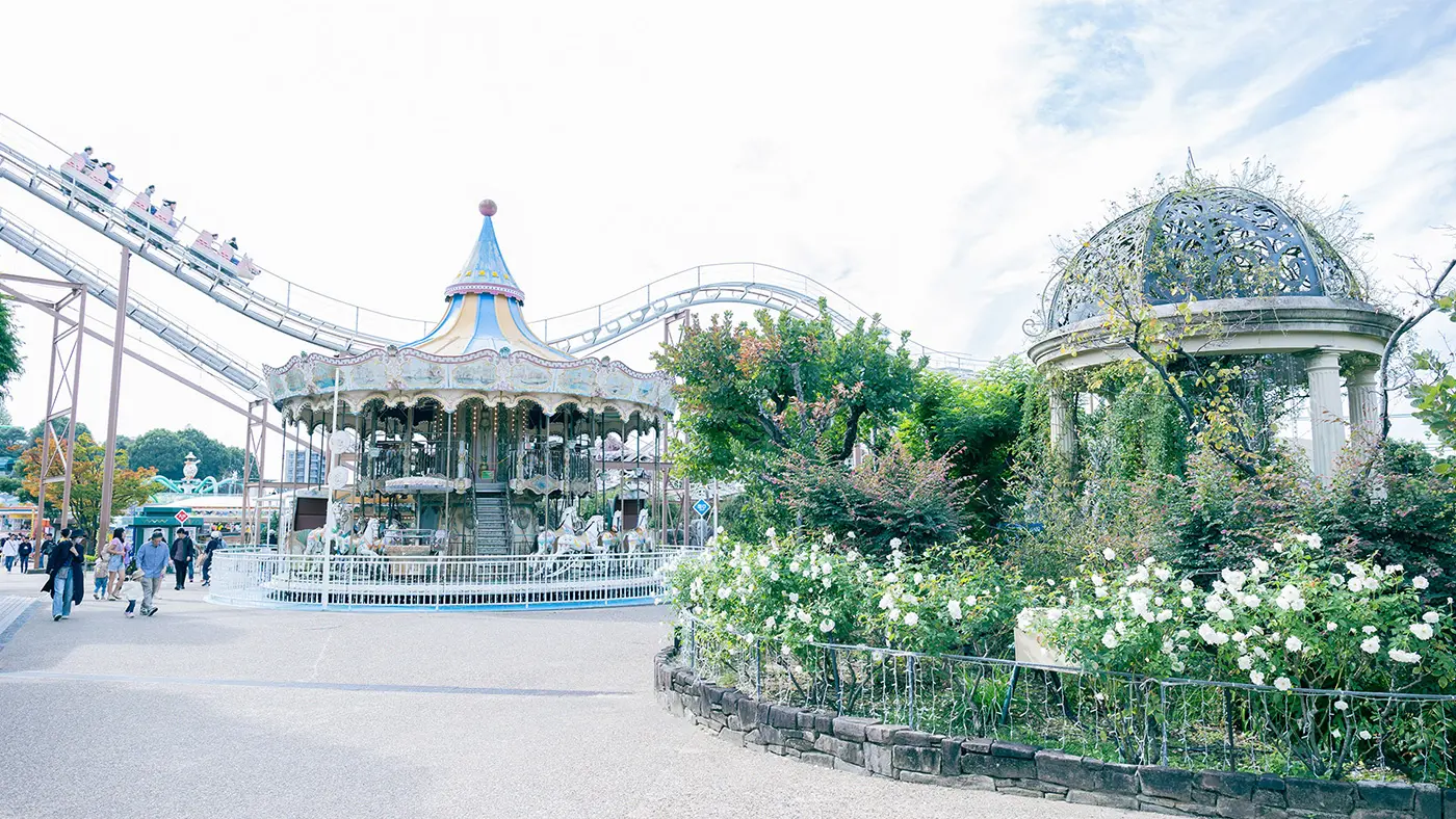 秋には菊人形が名物となるこの場所で、春も花の恵みを楽しんでもらおうと1955年に生まれたのが「大バラ園」でした。