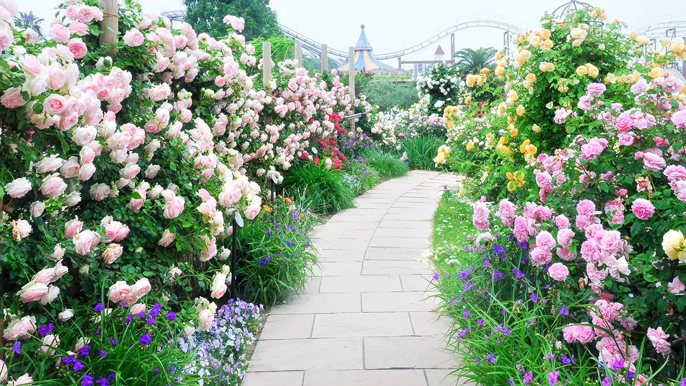 画像提供：ひらかたパーク 5月頃