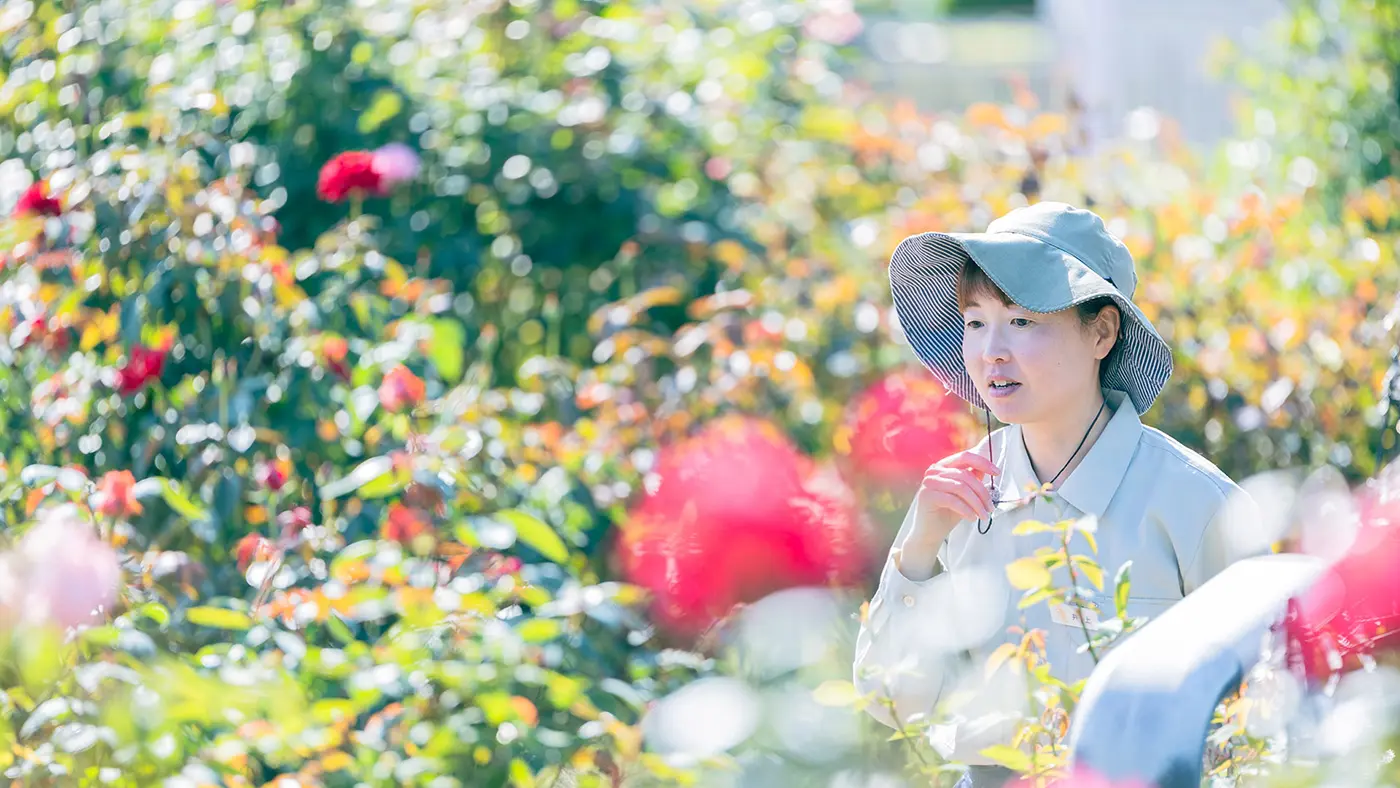 上さん曰く、香りを楽しむならば、よりおすすめなのは秋。