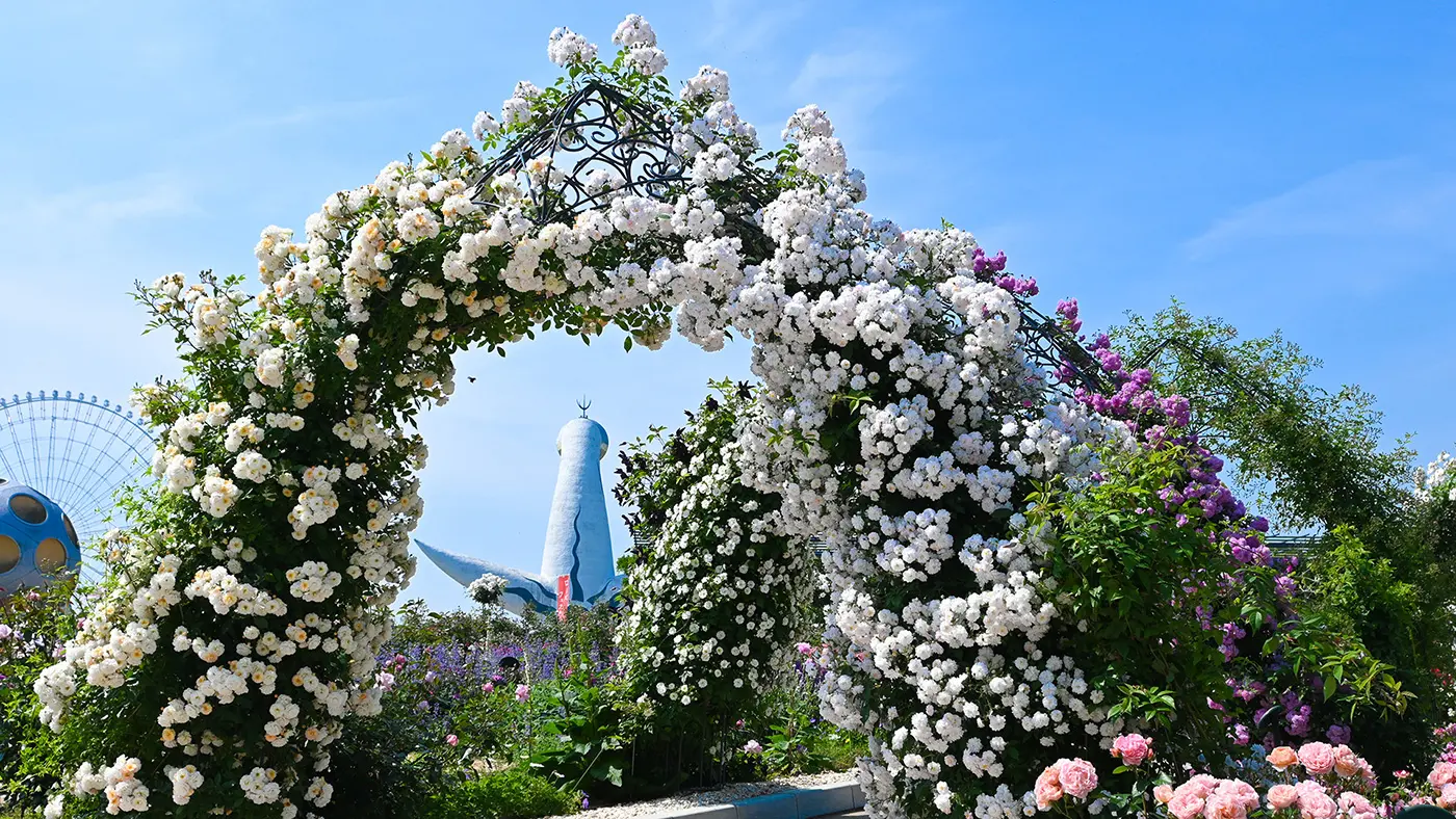 画像提供：写真提供：万博記念公園マネジメント・パートナーズ