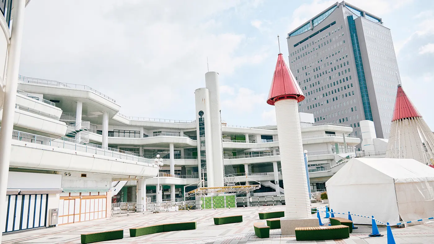 ここで、私の幼なじみ「とんがり」を紹介します。