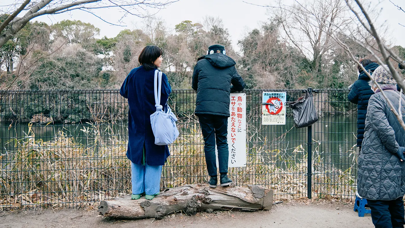 「鳥たちは街のみんなで見守るんや」と言ってはりました。