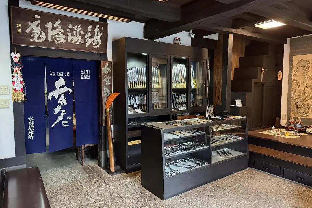 Mizuno Training School