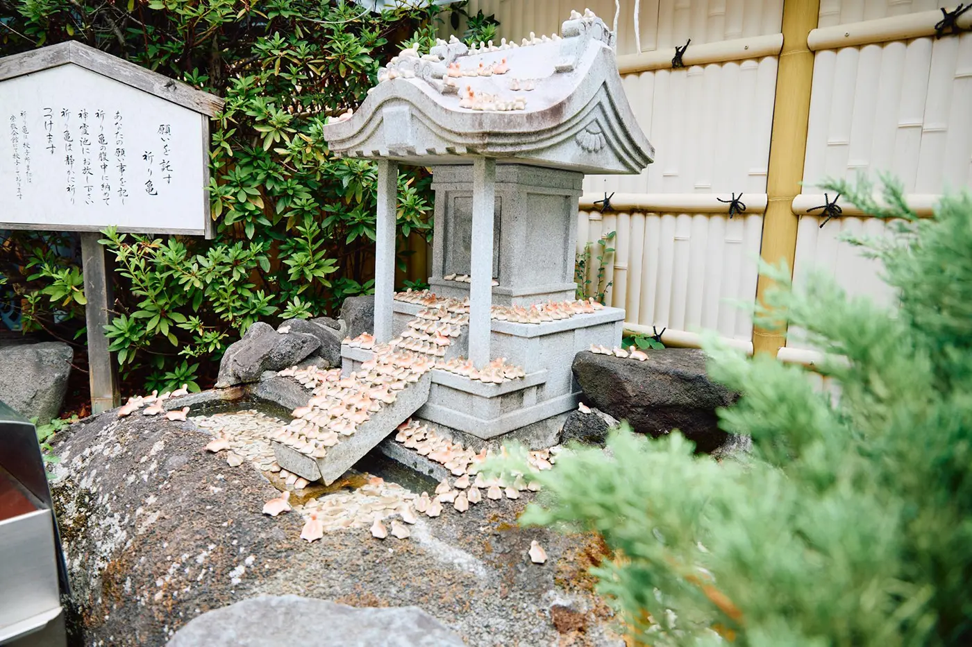 人們習慣在寺廟的「聖池」裡放置一隻祈福龜,並祈求心願實現。願望達成後,要放回一隻表示感謝的祈福龜。