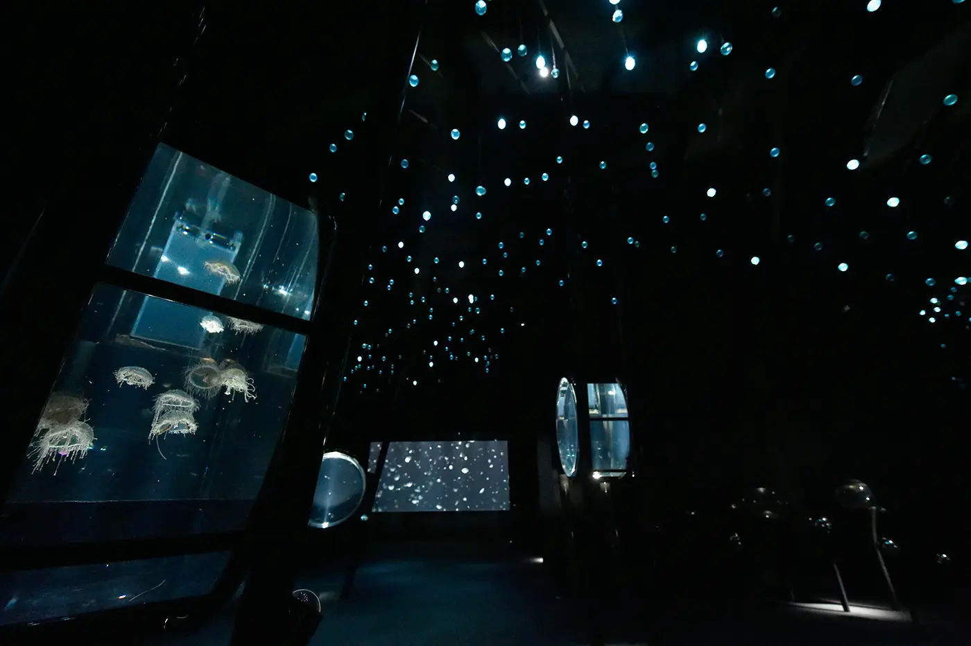 クラゲの魅力を追求した「海月銀河」などユニークな切り口の展示も。