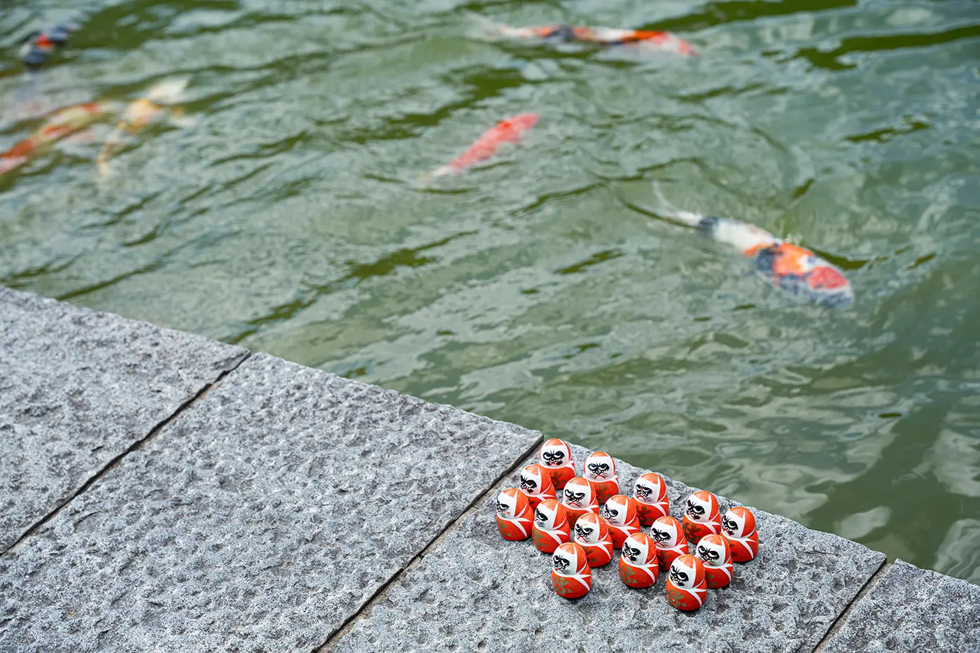 本登池裡有很多鯉魚
