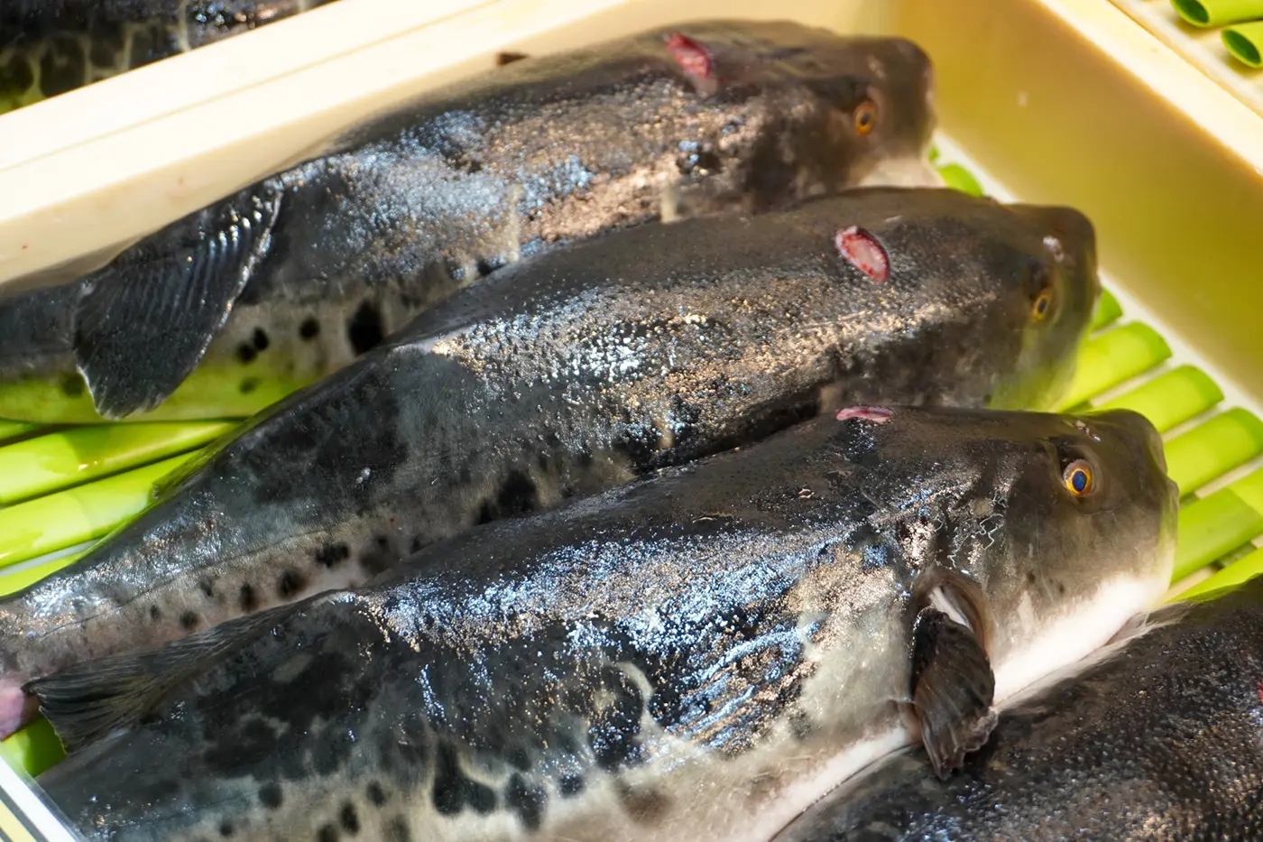 由於許多高檔餐廳的廚師都在這裡採購，所以市場裡有許多商店出售河豚和新鮮魚類。