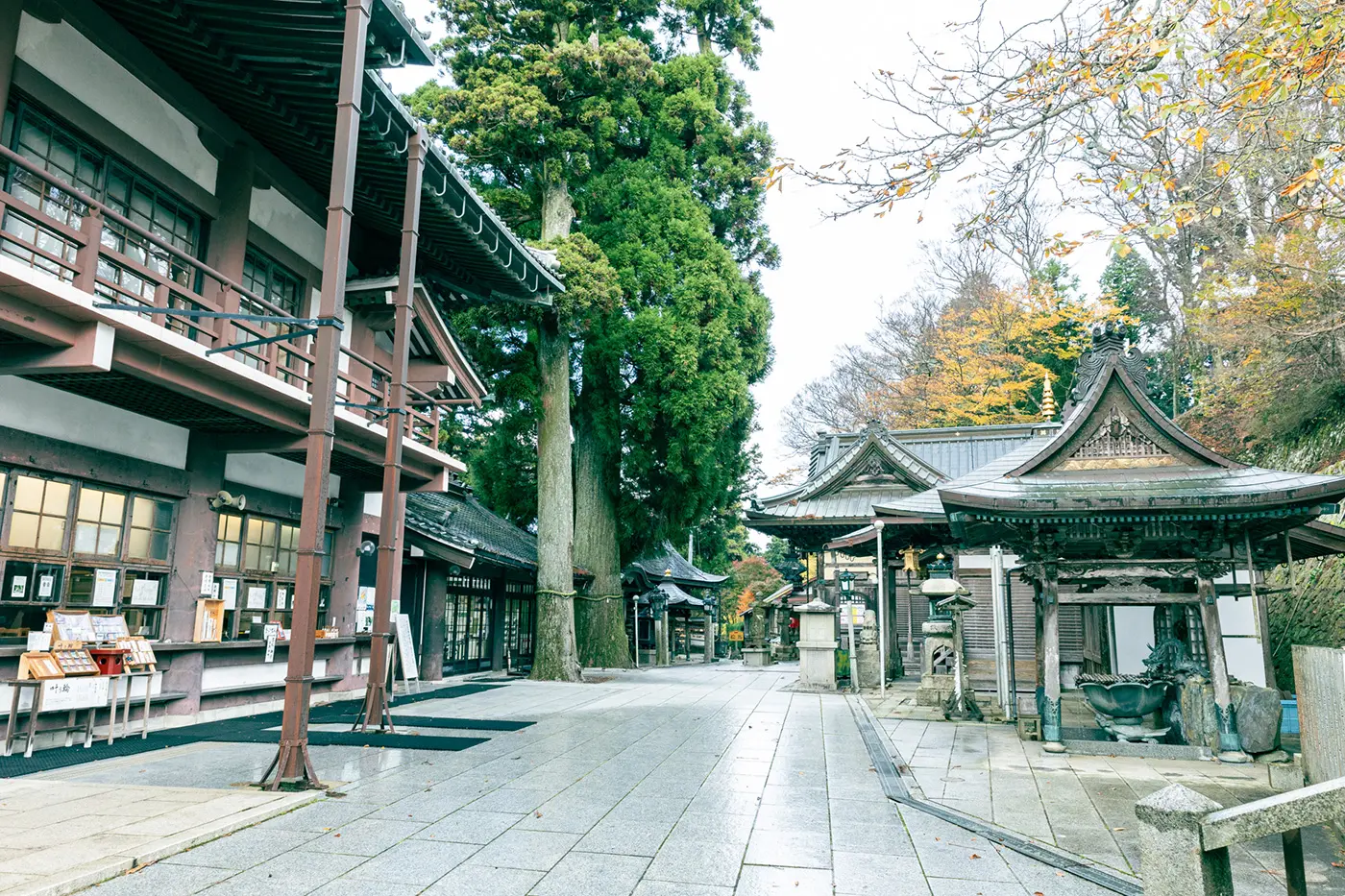 妙显山拥有丰富的自然资源,被评为大阪府“大阪100个最佳绿地”中的第29个景点。