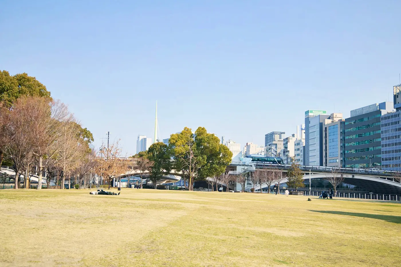 中之島公園的草坪區域向公眾開放，是當地居民放鬆身心的熱門場所，他們經常帶著孩子或寵物來這裡。